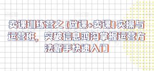 卖课训练营之【做课+卖课】实操与运营班,突破信息鸿沟掌握运营方法新手快速入门-虚拟资源库