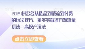 2024拼多多从选品到截流到付费的玩法技巧,拼多多截流自然流量玩法,高投产玩法-虚拟资源库