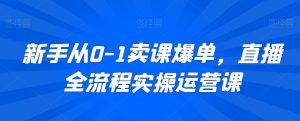 新手从0-1卖课爆单，直播全流程实操运营课-虚拟资源库