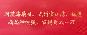新蓝海项目,支付宝小店,搬运商品和视频,实现月入一万+【揭秘】-虚拟资源库