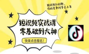短视频零基础落地实操训练营,短视频实战课零基础到大神-虚拟资源库