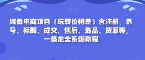 闲鱼电商项目（玩转价格差）含注册、养号、标题、成交、售后、选品、货源等，一条龙全系统教程-虚拟资源库