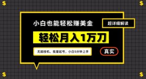 谷歌看广告撸美金2.0,无脑挂机,多号操作,月入1万刀【揭秘】-虚拟资源库