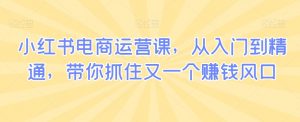 小红书电商运营课,从入门到精通,带你抓住又一个赚钱风口-虚拟资源库