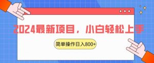 2024最新项目,红娘项目,简单操作轻松日入800+【揭秘】-虚拟资源库