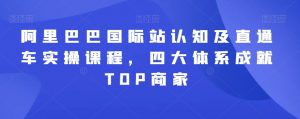 阿里巴巴国际站认知及直通车实操课程,四大体系成就TOP商家-虚拟资源库