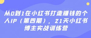 从0到1在小红书打造赚钱的个人IP(第四期),21天小红书博主实战训练营-虚拟资源库