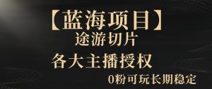 一天收入2000+,最新中视频创新玩法,用AI科技一键改唱影解说刷爆流量收益【揭秘】-虚拟资源库