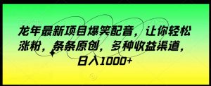 龙年最新项目爆笑配音，让你轻松涨粉，条条原创，多种收益渠道，日入1000+【揭秘】-虚拟资源库