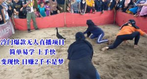 冷门爆款无人直播项目，简单易学上手快，变现快日赚2千不是梦【揭秘】-虚拟资源库