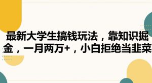 最新大学生搞钱玩法,靠知识掘金,一月两万+,小白拒绝当韭菜【揭秘】-虚拟资源库