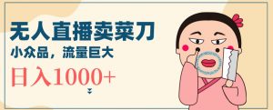 无人冷门品直播新玩法，通过卖菜刀日入1000+【揭秘】-虚拟资源库