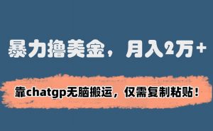 暴力撸美金，月入2万+！靠chatgp无脑搬运，仅需复制粘贴【揭秘】-虚拟资源库