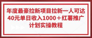年度最豪拉新项目拉新一人可达40元单日收入1000＋红薯推广计划实操教程【揭秘】-虚拟资源库