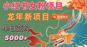 小红书女粉头像项目,单日变现5000+,适合在家做的副业,长期稳定【揭秘】-虚拟资源库