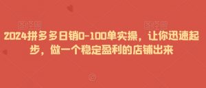 2024拼多多日销0-100单实操，让你迅速起步，做一个稳定盈利的店铺出来-虚拟资源库