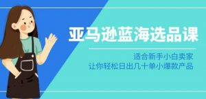 亚马逊-蓝海选品课:适合新手小白卖家,让你轻松日出几十单小爆款产品-虚拟资源库