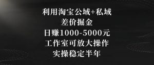 利用淘宝公域+私域差价掘金,日赚1000-5000元,工作室可放大操作,实操稳定半年【揭秘】-虚拟资源库