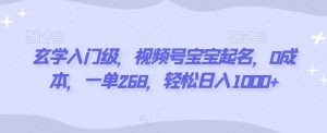 玄学入门级,视频号宝宝起名,0成本,一单268,轻松日入1000+【揭秘】-虚拟资源库