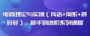 电商理论与实操(抖店+淘系+拼多多),新手到进阶系列课程-虚拟资源库