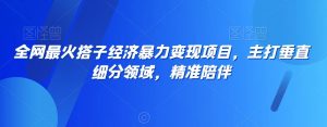 全网最火搭子经济暴力变现项目,主打垂直细分领域,精准陪伴【揭秘】-虚拟资源库