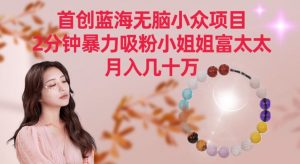 首创蓝海无脑小众项目,2分钟暴力吸粉小姐姐富太太,月入几十万【揭秘】-虚拟资源库