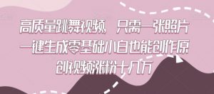 高质量跳舞视频，只需一张照片一键生成零基础小白也能创作原创视频涨粉十几万【揭秘】-虚拟资源库