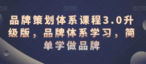 品牌策划体系课程3.0升级版,品牌体系学习,简单学做品牌-虚拟资源库