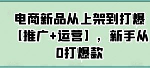 电商新品从上架到打爆【推广+运营】,新手从0打爆款-虚拟资源库