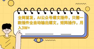 全网首发,AI公众号爆文插件,只需一款插件全自动输出爆文,矩阵操作,月入3W+【揭秘】-虚拟资源库