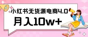 小红书新电商实战,无货源实操从0到1月入10w+联合抖音放大收益【揭秘】-虚拟资源库