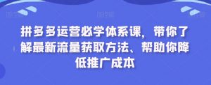 拼多多运营必学体系课,带你了解最新流量获取方法、帮助你降低推广成本-虚拟资源库