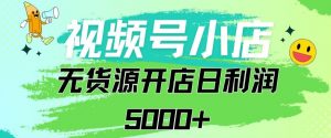 视频号无货源小店从0到1日订单量千单以上纯利润稳稳5000+【揭秘】-虚拟资源库