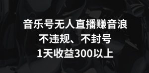 音乐号无人直播赚音浪，不违规、不封号，1天收益300+【揭秘】-虚拟资源库