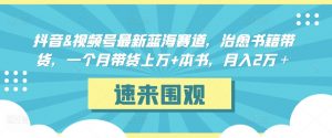 抖音&视频号最新蓝海赛道,治愈书籍带货,一个月带货上万+本书,月入2万+【揭秘】-虚拟资源库