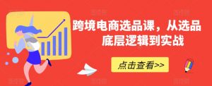 跨境电商选品课,从选品到底层逻辑到实战-虚拟资源库