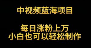 中视频蓝海项目,解读英雄人物生平,每日涨粉上万,小白也可以轻松制作,月入过万不是梦【揭秘】-虚拟资源库