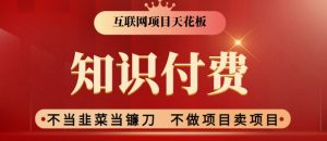 2024互联网项目天花板，新手小白也可以通过知识付费月入10W，实现财富自由【揭秘】-虚拟资源库