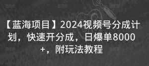 【蓝海项目】2024视频号分成计划，快速开分成，日爆单8000+，附玩法教程-虚拟资源库