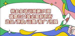 拼多多培训班第34期：做高价女装必盈利剖析选品/测款/运营/推广/拓展-虚拟资源库