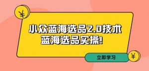 拼多多培训第33期：小众蓝海选品2.0技术-蓝海选品实操！-虚拟资源库
