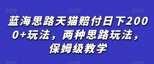 蓝海思路天猫赔付日下2000+玩法,两种思路玩法,保姆级教学【仅揭秘】-虚拟资源库