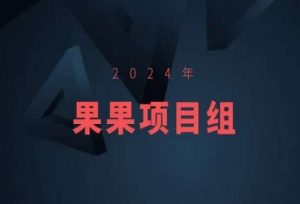 2024年果果项目组项目合集-果果最新项目-虚拟资源库