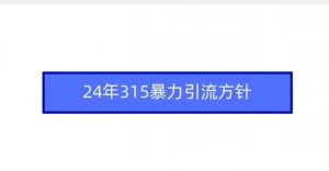 24年315暴力引流方针-虚拟资源库