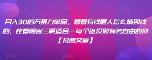 月入30的万暴力单品,看看有钱是人怎么搞到钱的,比看除害三更适合一每个还没财有务自由的你【付费文章】-虚拟资源库