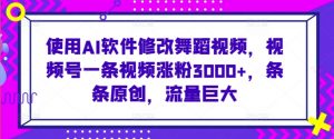 使用AI软件修改舞蹈视频，视频号一条视频涨粉3000+，条条原创，流量巨大【揭秘】-虚拟资源库
