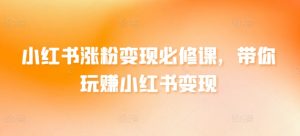 小红书涨粉变现必修课，带你玩赚小红书变现-虚拟资源库