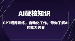 AI硬核知识-GPT喂养训练，自动化工作，带你了解AI的能力边界（10节课）-虚拟资源库