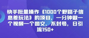 快手批量操作《1000个野路子信息差玩法》的项目,一分钟做一个视频一个图文,不封号,日引流150+【揭秘】-虚拟资源库