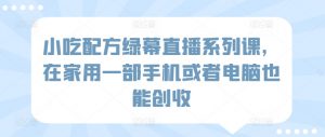 小吃配方绿幕直播系列课，在家用一部手机或者电脑也能创收-虚拟资源库